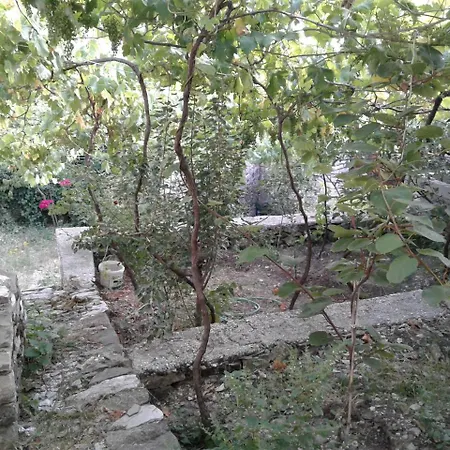 Village Cottages Bakuli 公寓 *